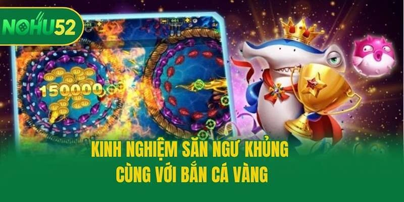 Kinh nghiệm săn ngư khủng cùng với bắn cá vàng